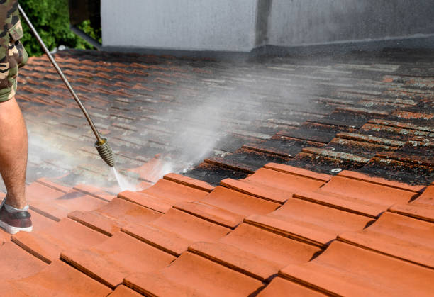 Best Residential Pressure Washing Services  in Golden Valley, MN