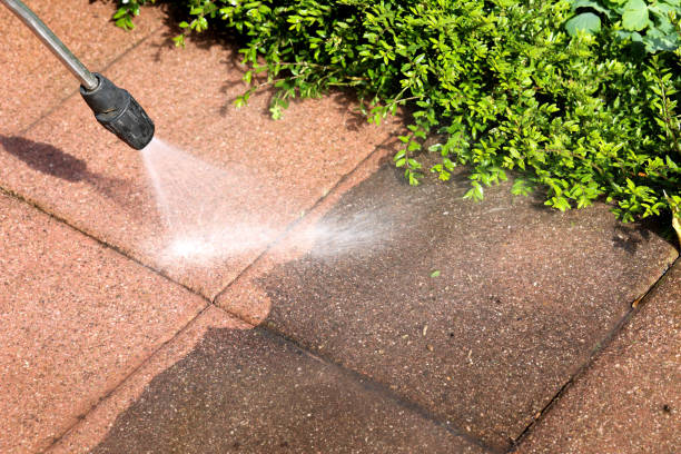 Best Exterior Home Cleaning  in Golden Valley, MN